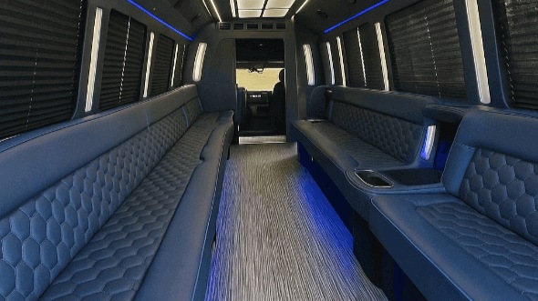 Interior of Charter Bus Company Brookhaven's 20 Passenger Party Bus in Brookhaven