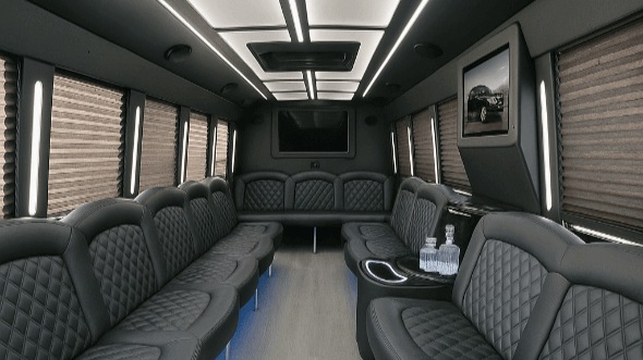macon 30 passenger party bus rental